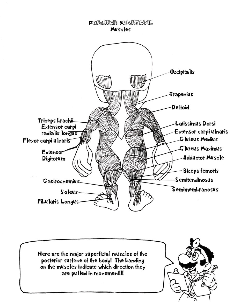 Plansa de colorat cu Biologie 92 69